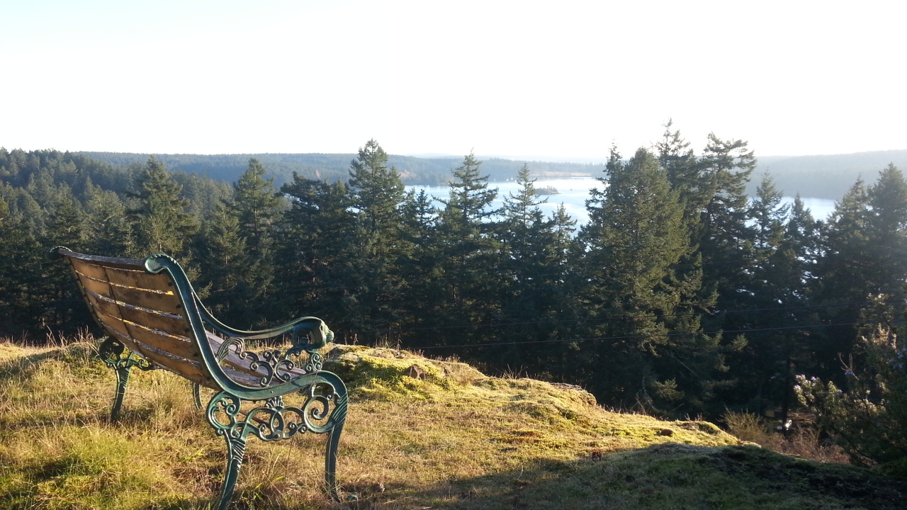 A perfect sitting spot on the hill above Orcas Landing