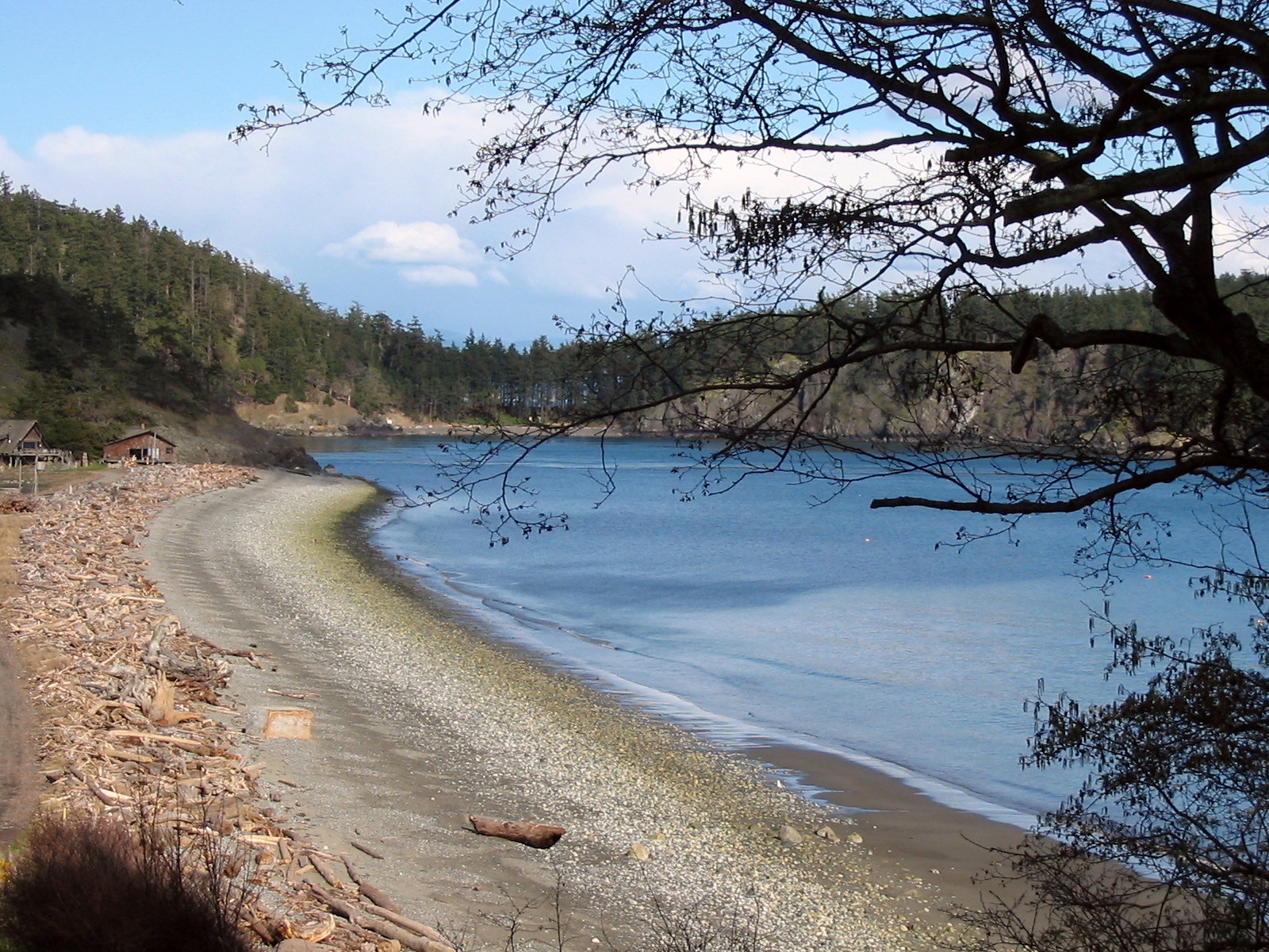 The outside beach on Decatur Island. Remarably sandy for a PNW beach and heavily laden with driftwood from winter storms