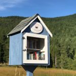 Little blue community library