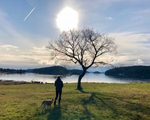 Girl and her dog stand by a waterside tree backlit by a winter low sun
