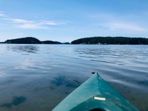 A kayak trip in the bay